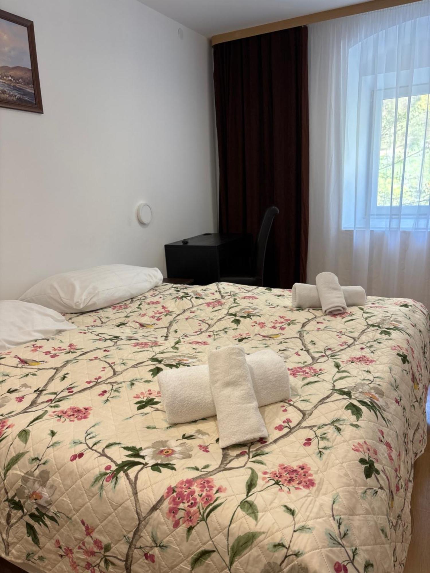 Durigon Guest house Ramingstein