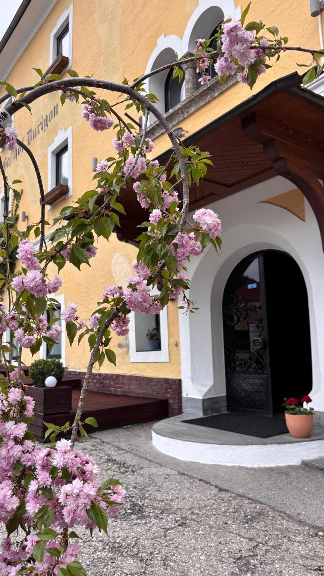 Durigon Guest house 2*